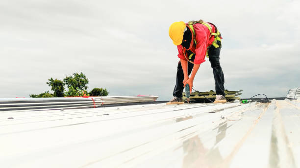 Best Roof Maintenance and Cleaning  in Hurlock, MD